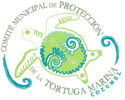 Cozumel Volunteer Turtle Salvation Program in Cozumel