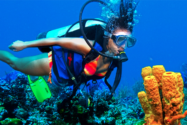 learn to dive in cozumel scuba diving lessons