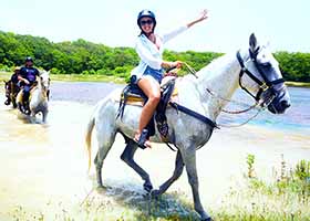 Cozumel Horseback Riding | Go Horse Backriding in Cozumel Jungle to Explore the Sights & Sounds of Isla Cozumel