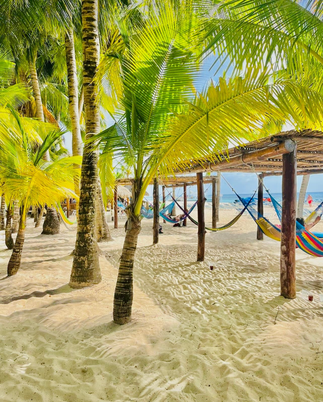 Cozumel Bar Hop Tour photo 3