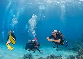 Private Beginner Boat Dive Cozumel - Cozumel shore excursion