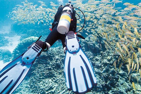 Private Beginner Boat Dive Cozumel photo 1