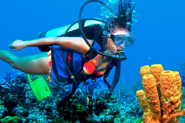 Private Beginner Boat Dive Cozumel photo 3