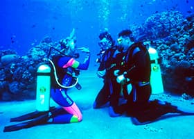 Discover Scuba Diving Cozumel photo 7