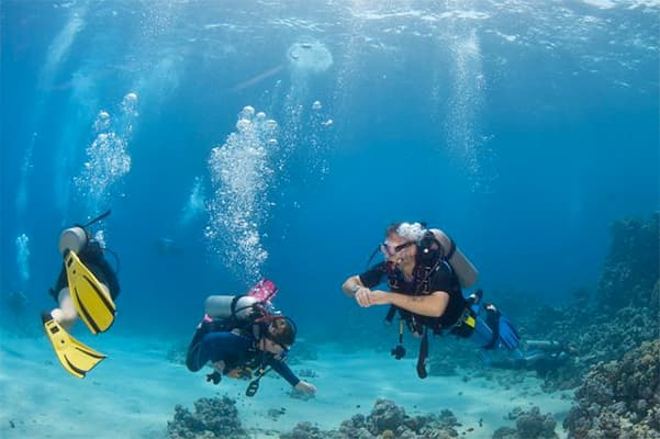 Discover Scuba Diving Cozumel photo 3