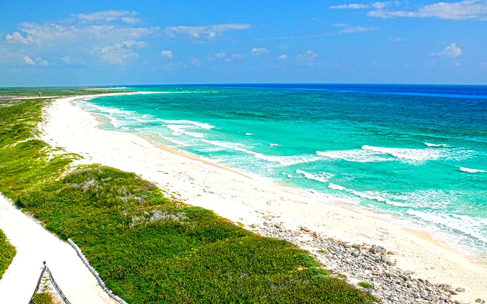 Cozumel Harley Davidson Rental Tour photo 1