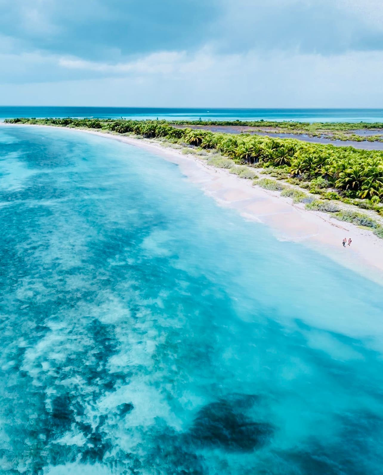Aerial drone view of Cozumel's turquoise Caribbean coastline with white sand beach and palm trees