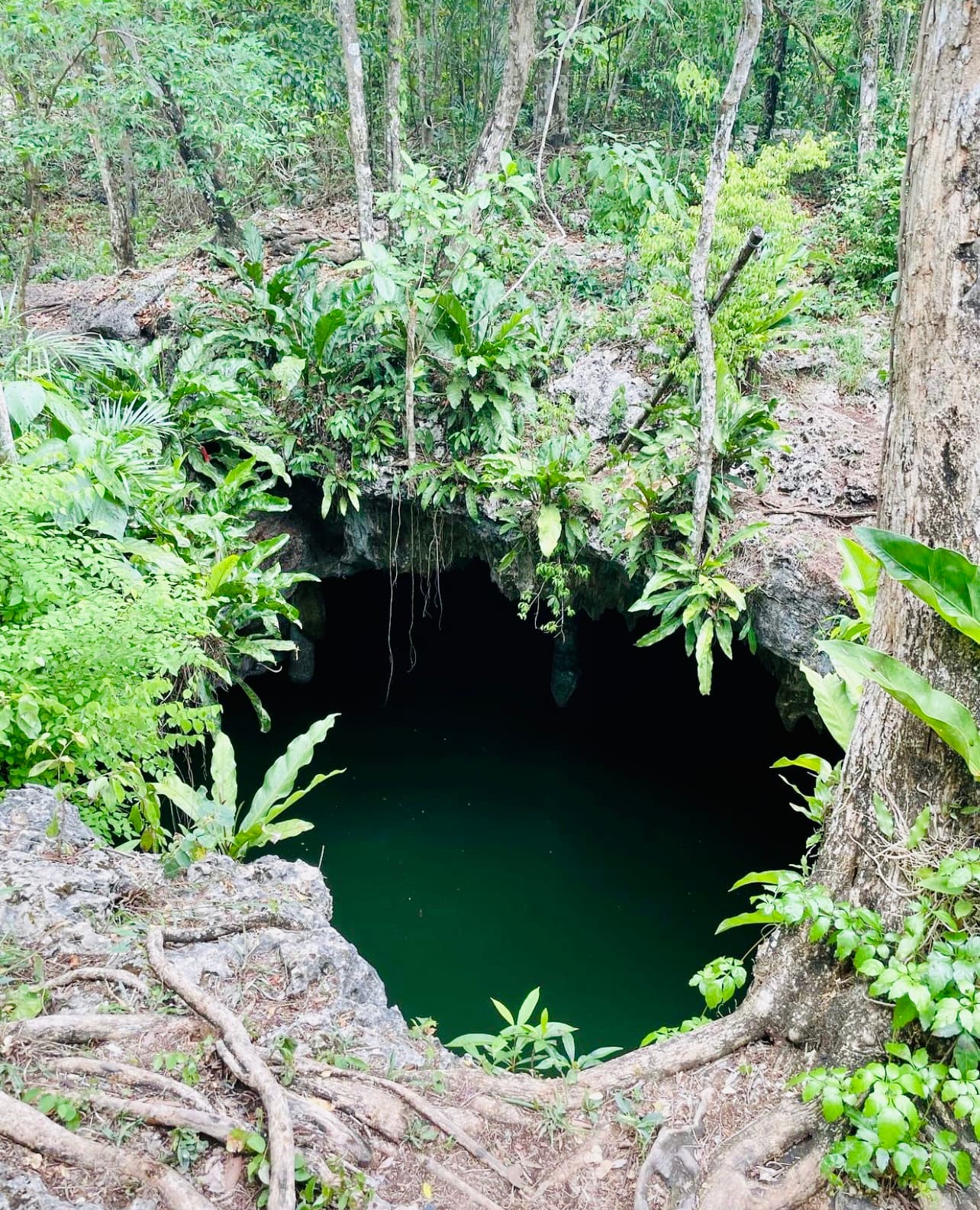 Private Jeep & ATV Tour to Jade Cavern Cozumel photo 1