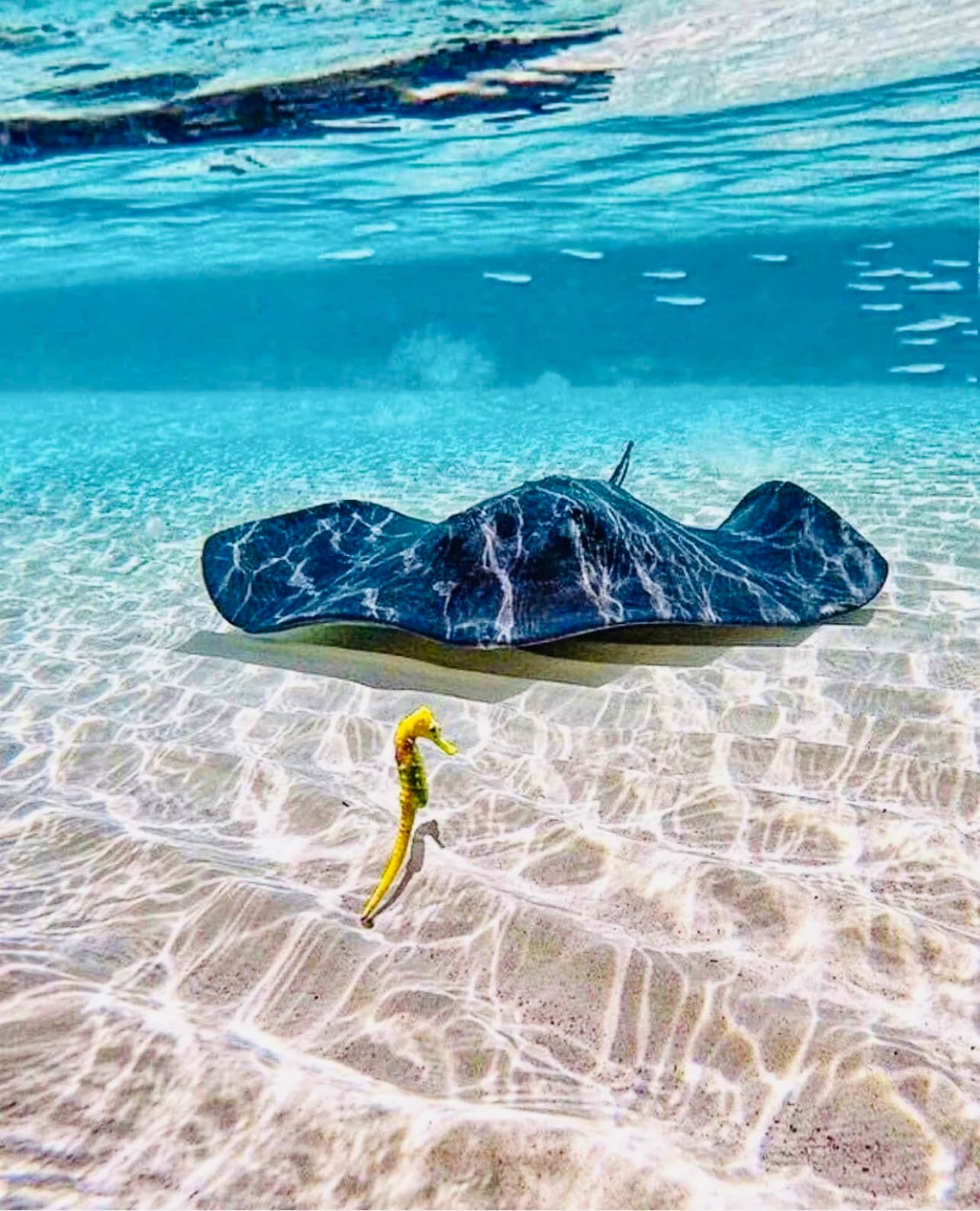 Snorkeling in Cozumel - Cozumel shore excursion