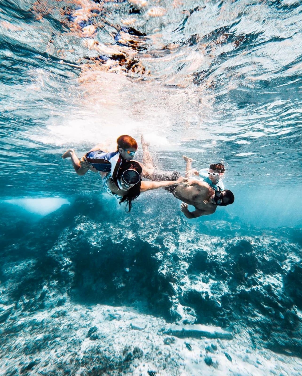 Cozumel Snorkel Tour photo 1