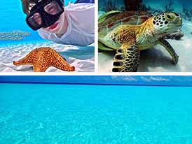 The Best Cozumel Shore Excursions - Save 40% OFF