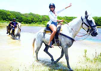 Horseback Riding Cozumel