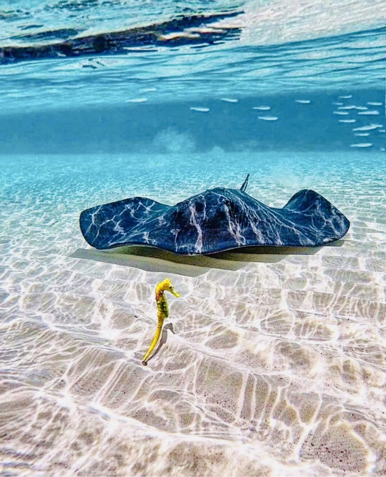 Cozumel Snorkel Tour
